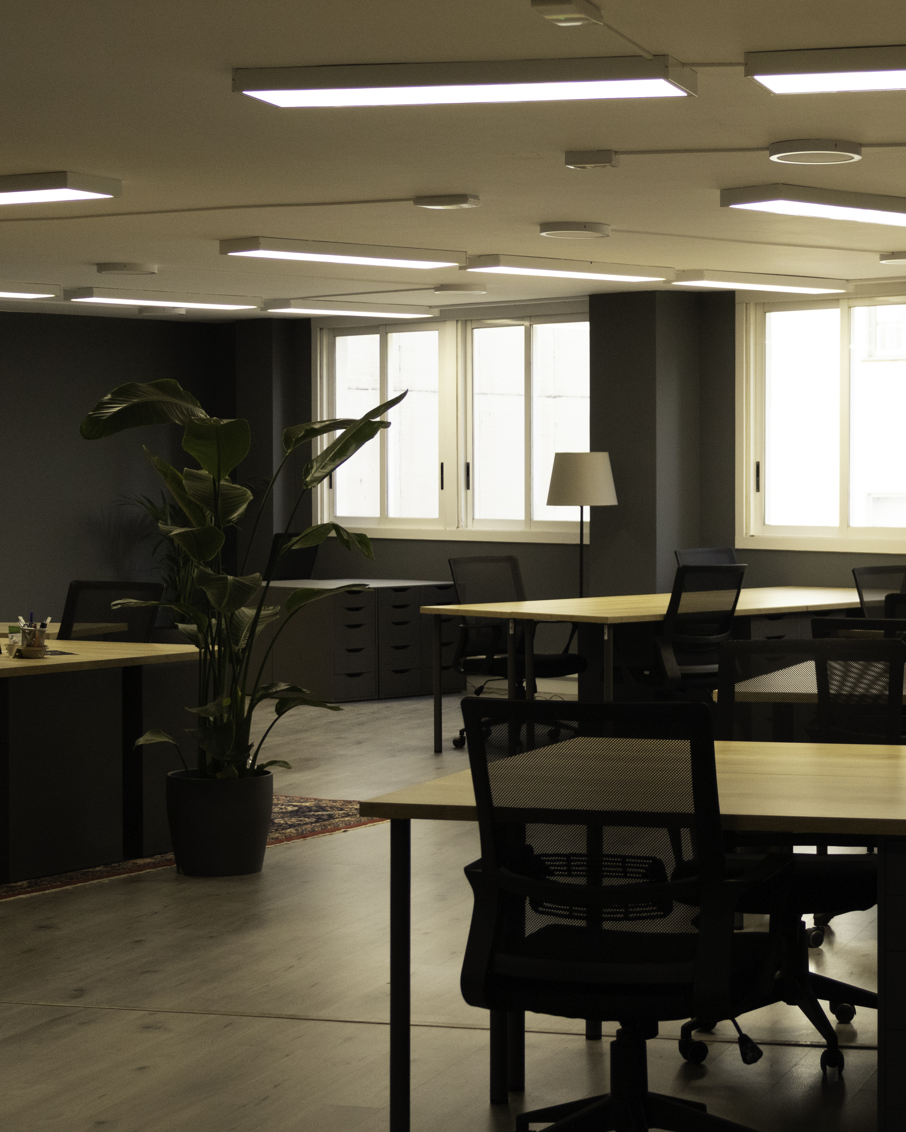 The Hive - Vista 1