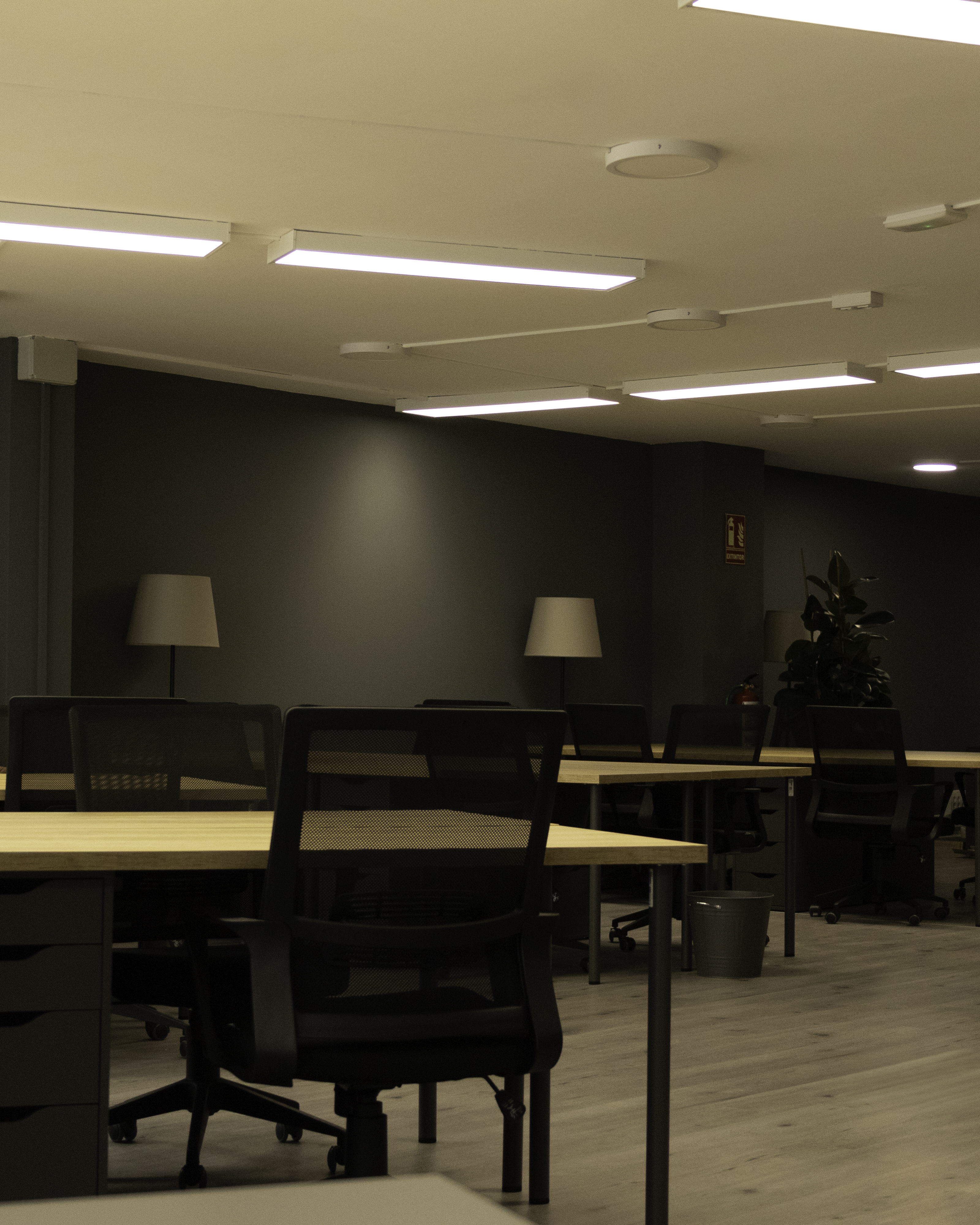 The Hive - Vista 2